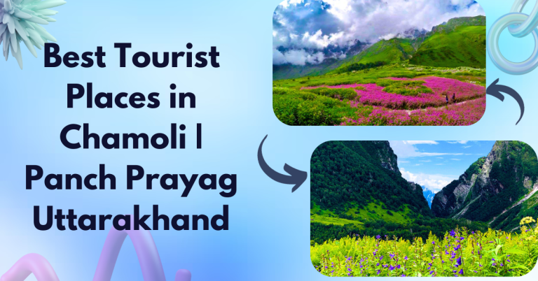 Best Tourist Place in Chamoli | Flower Vally in Uttarakhand