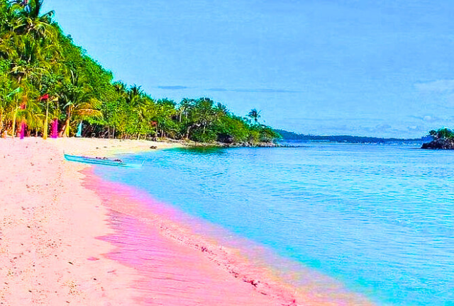 7 Pink Beaches in the World: Nature's Rosy Paradises