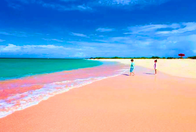 7 Pink Beaches in the World: Nature's Rosy Paradises