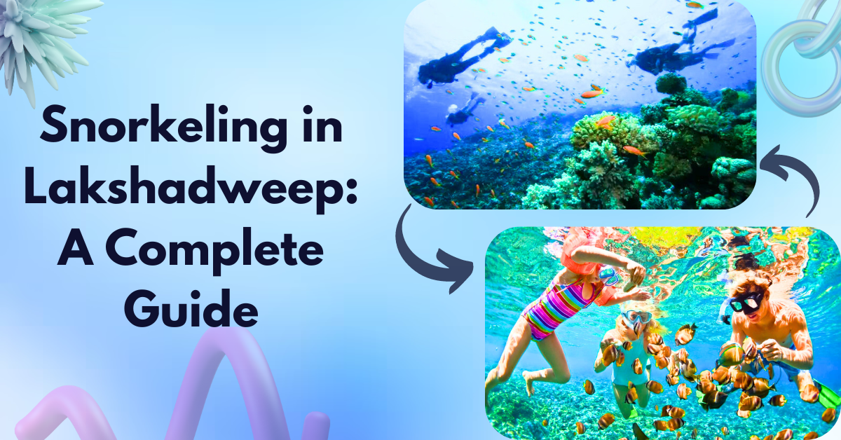 Snorkeling in Lakshadweep: A Complete Guide